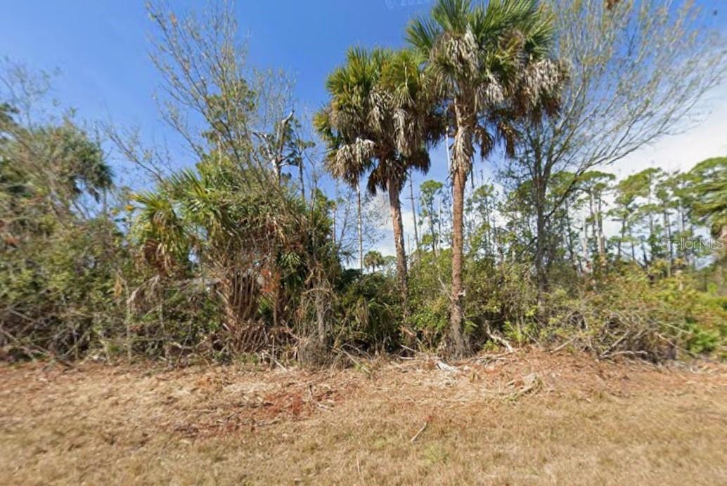 4149 Ormond Street, FL