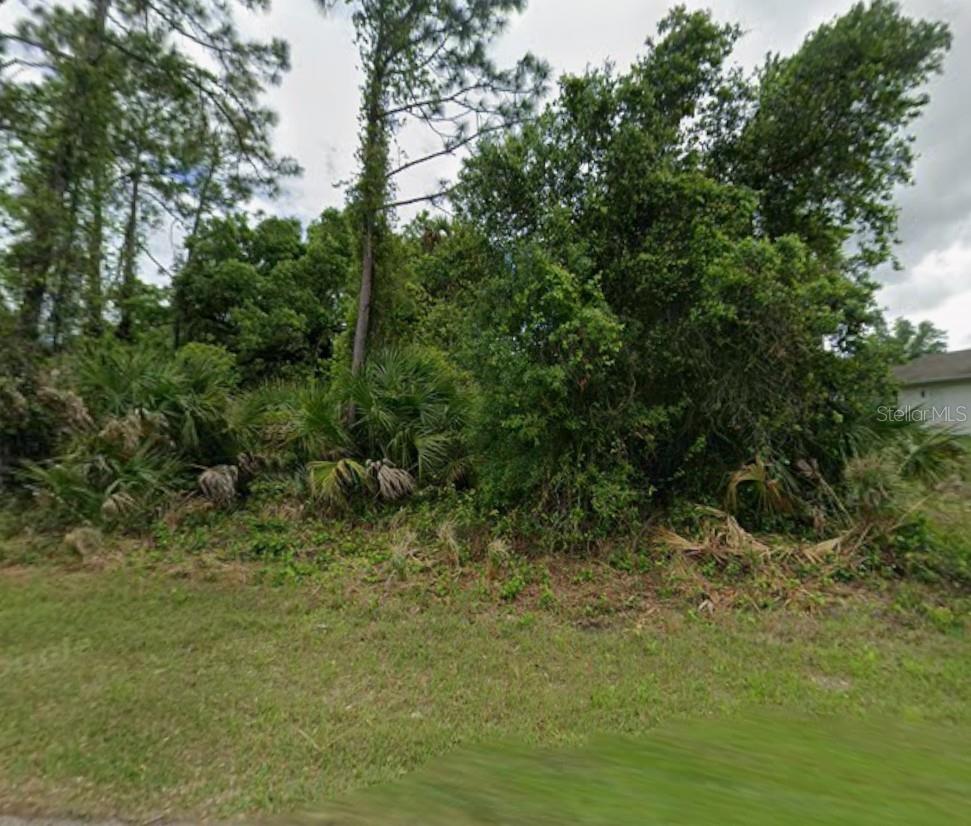 Greenhouse Avenue, FL