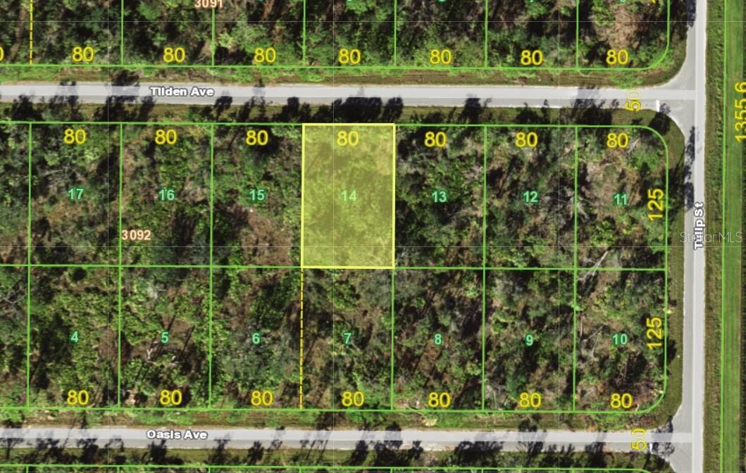 15509 Tilden Avenue, FL