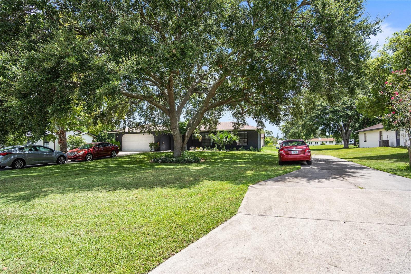 1177 Liza Street, FL