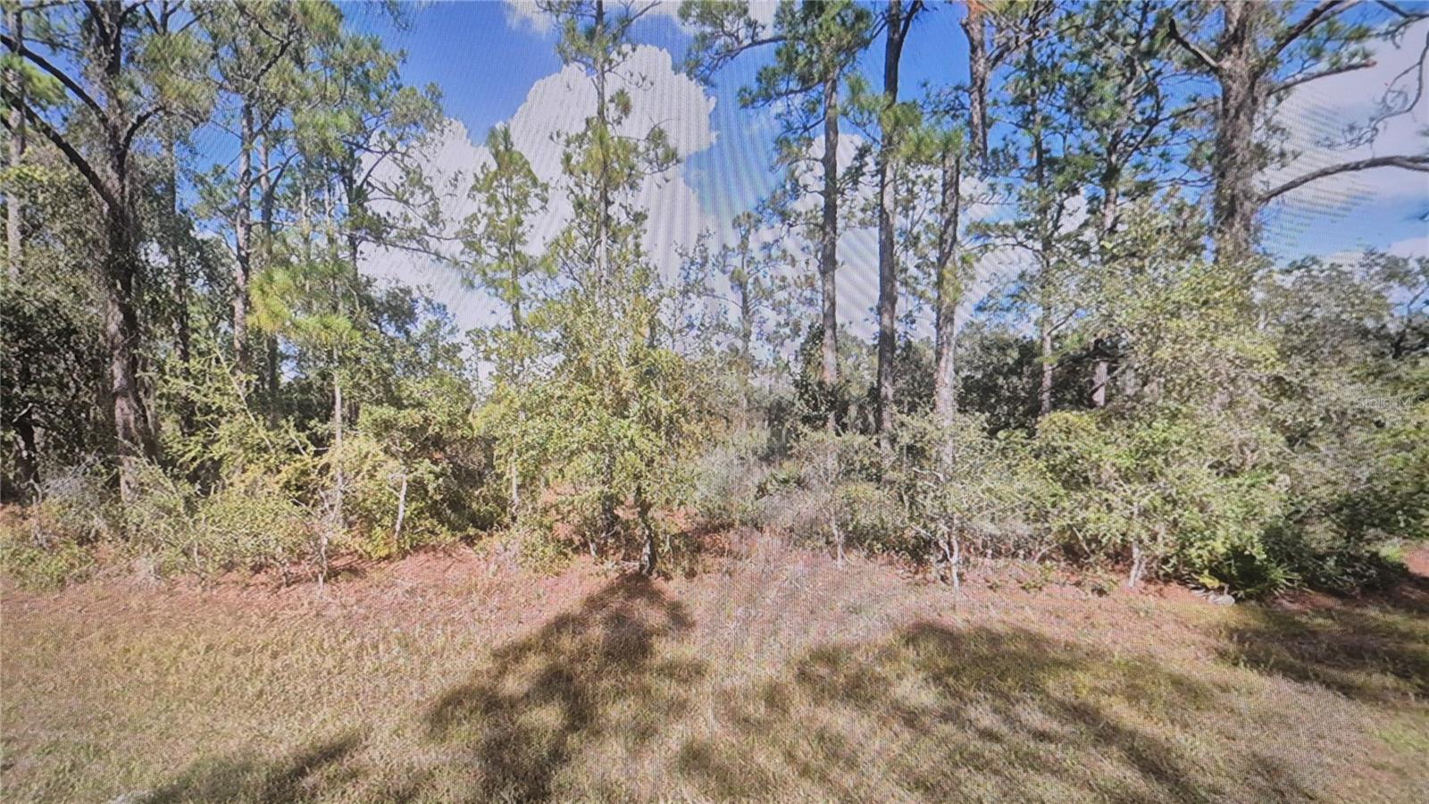 Plumosa Drive, FL