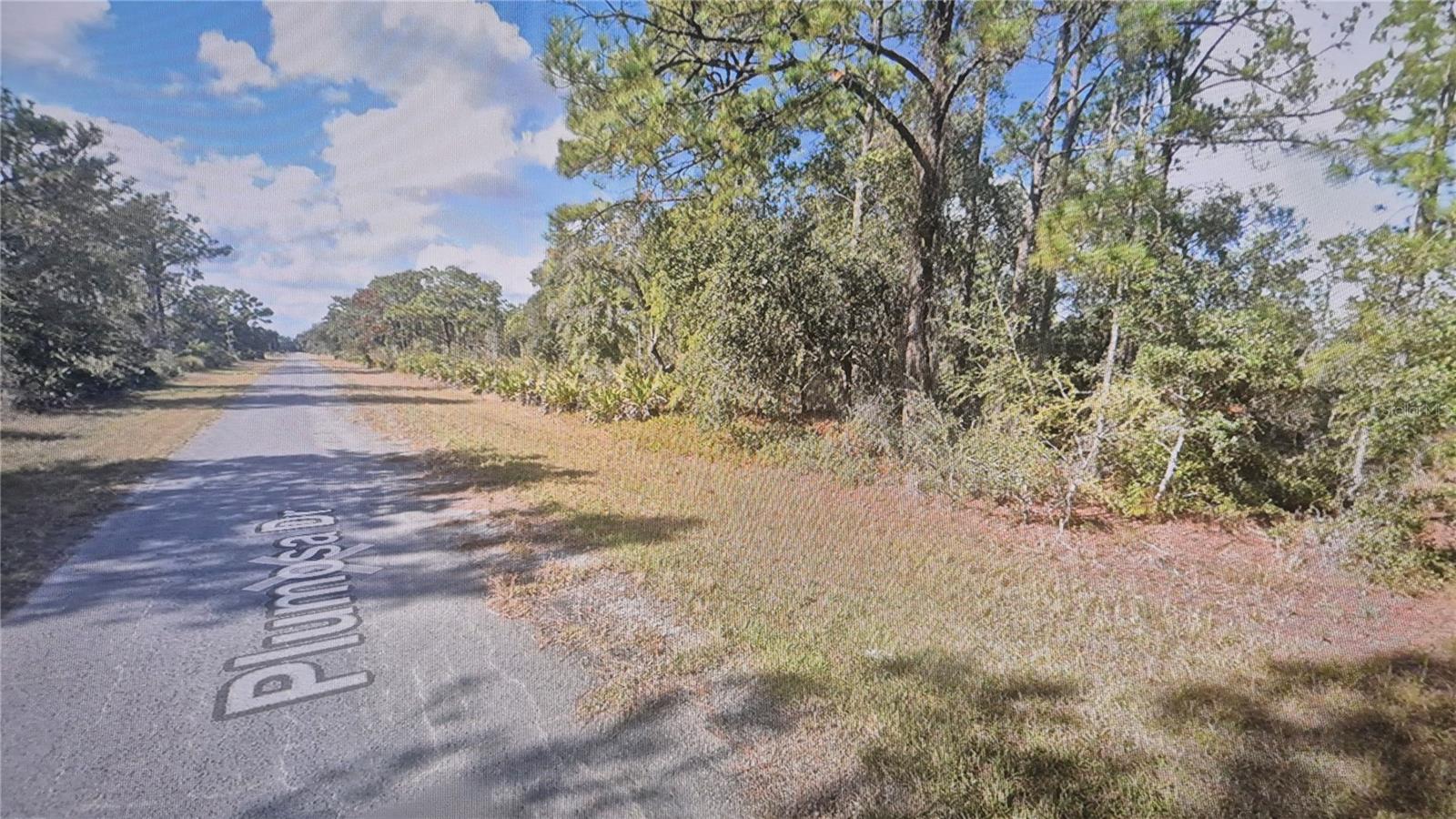 Plumosa Drive, FL