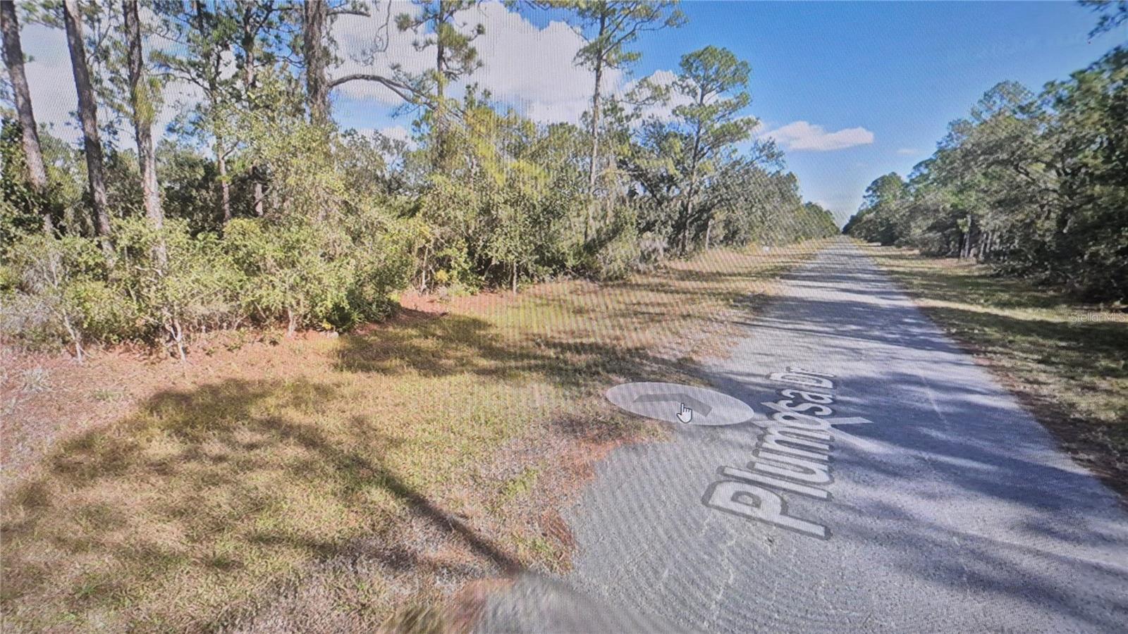 Plumosa Drive, FL