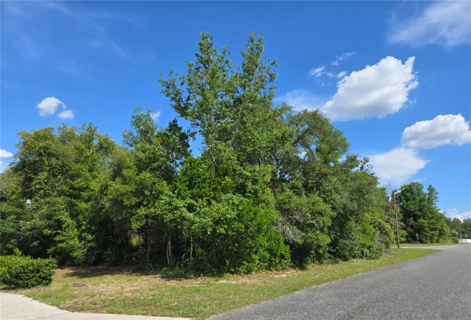 Tbd Marion Oaks Drive, FL
