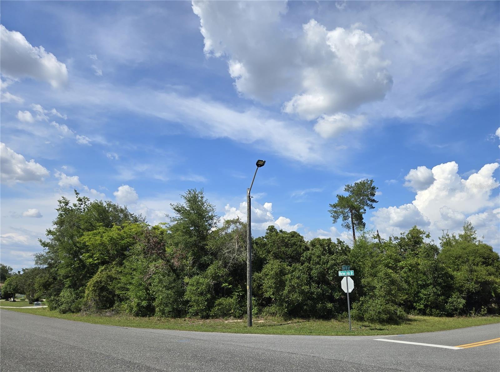 Tbd Marion Oaks Drive, FL