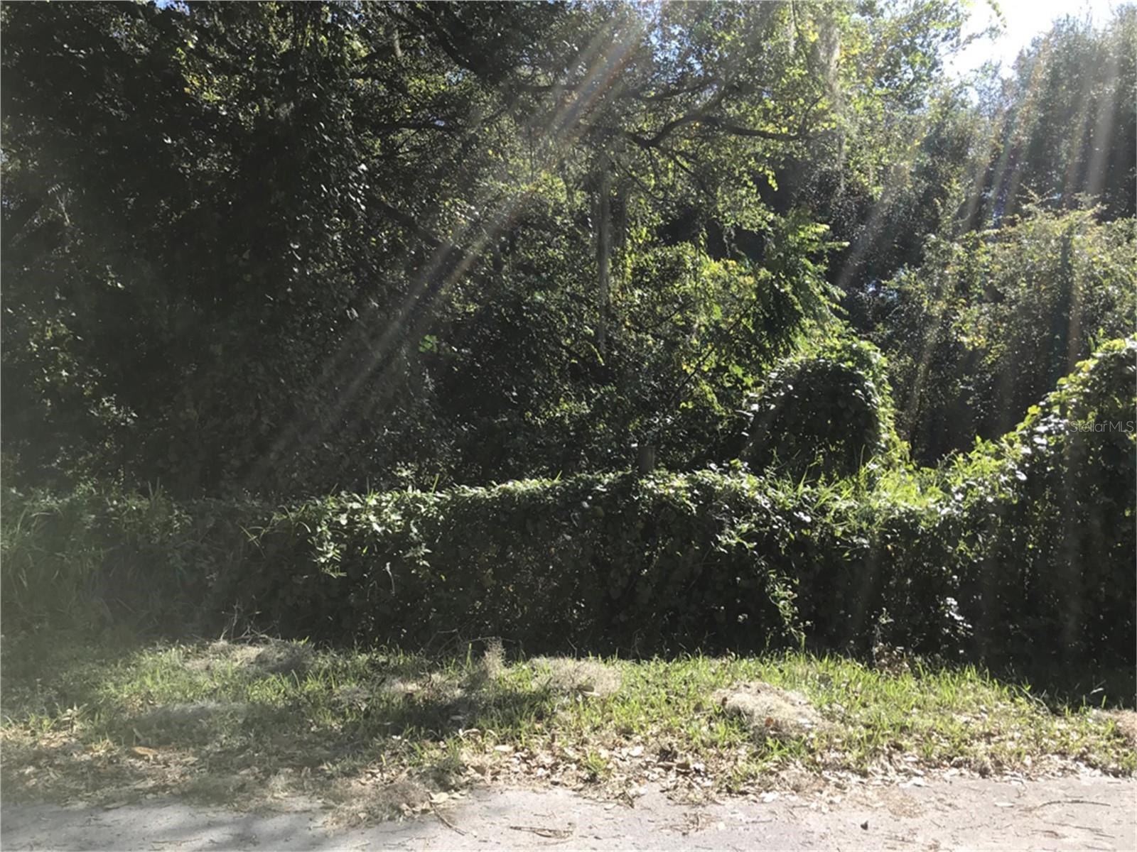 2nd, FL