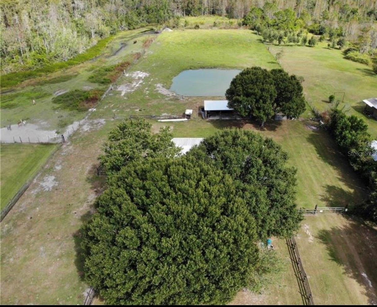 7083 Tall Pine Road, FL