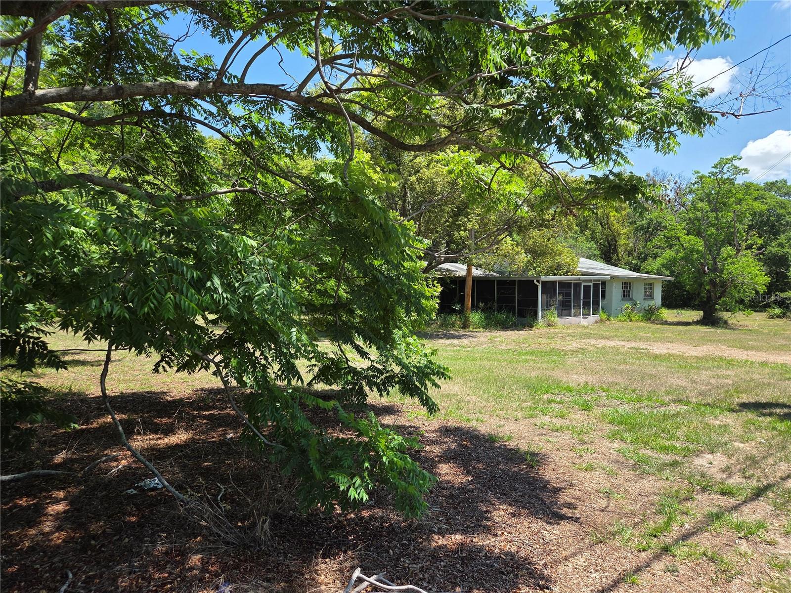 3810 Lumsden Road, FL