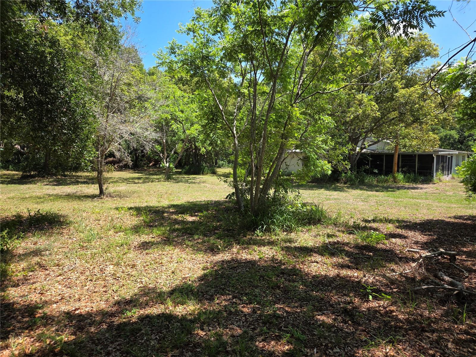 3810 Lumsden Road, FL