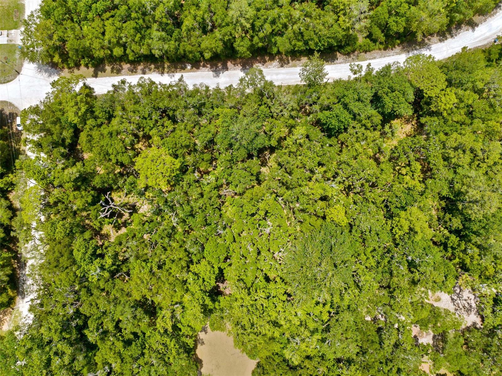 0 Ricebird Avenue, FL