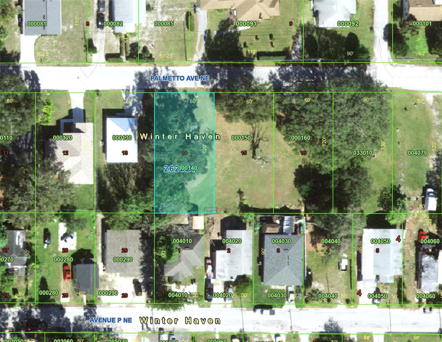 Palmetto Avenue, FL