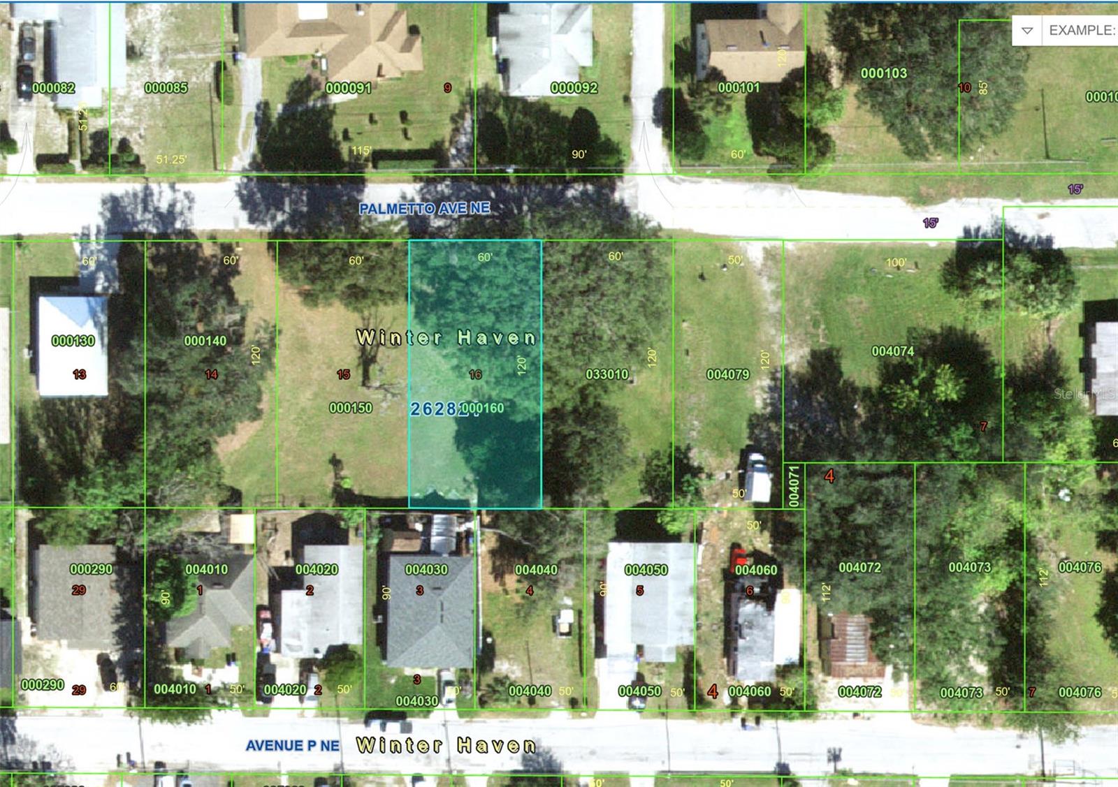 Palmetto Avenue, FL