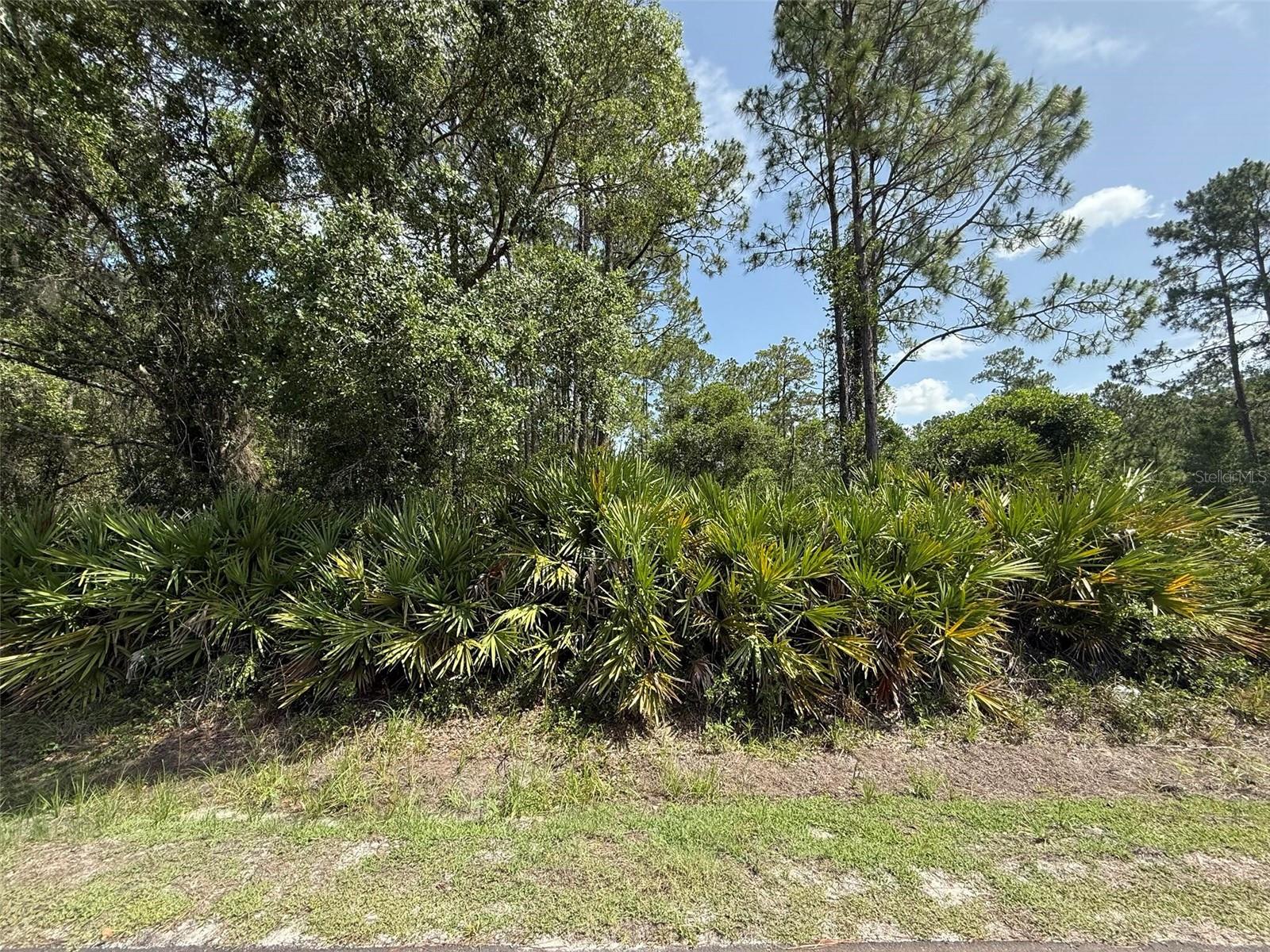 132 Millican Road, FL