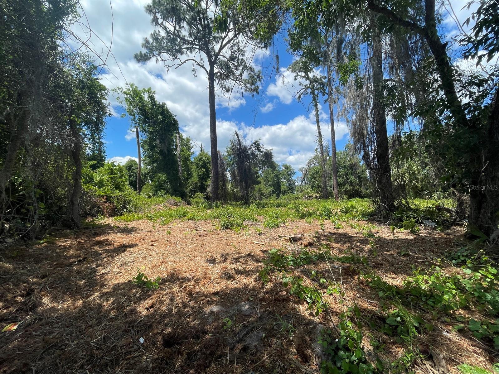 County Road 42, FL