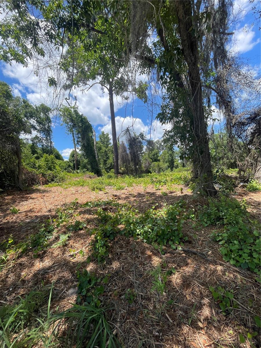 County Road 42, FL