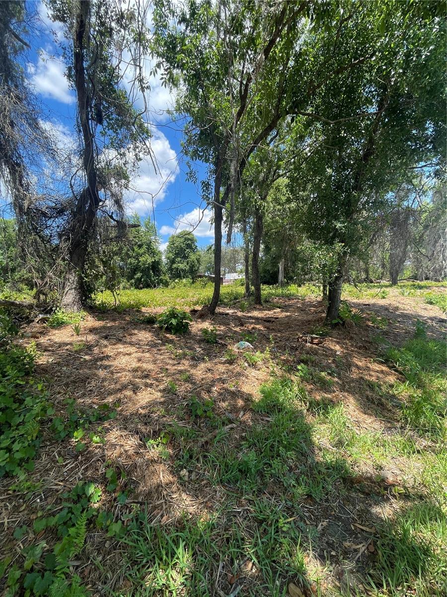 County Road 42, FL