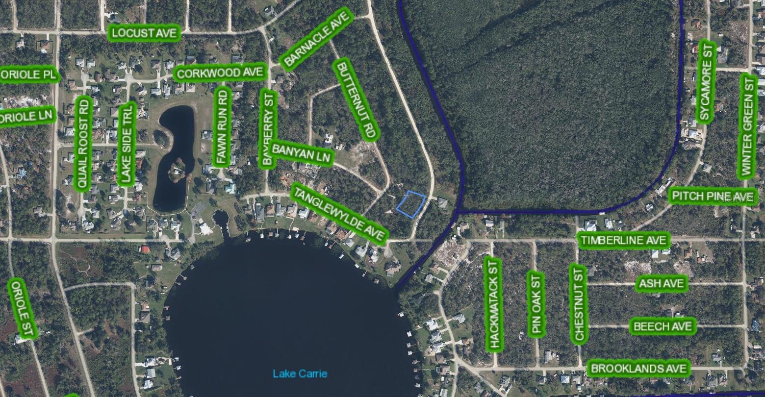 300 Rainbow Drive, FL