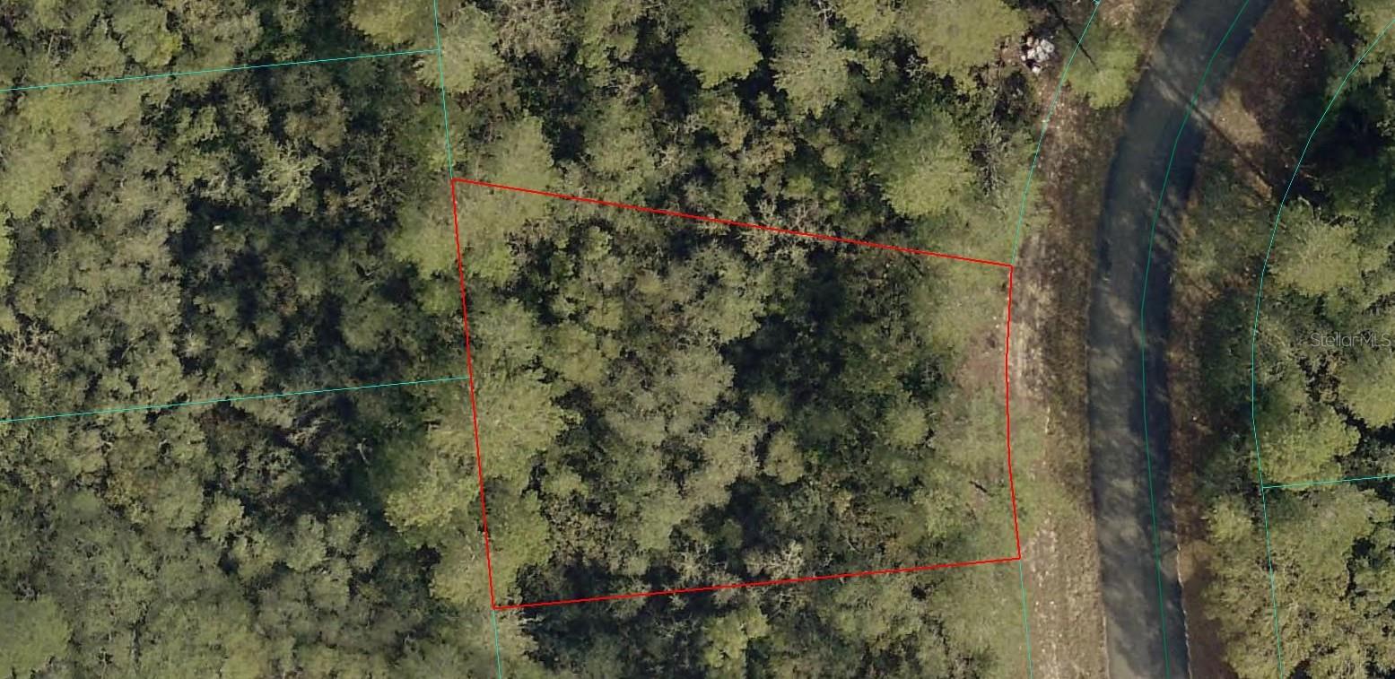 8006-0714-12 41 Court, FL