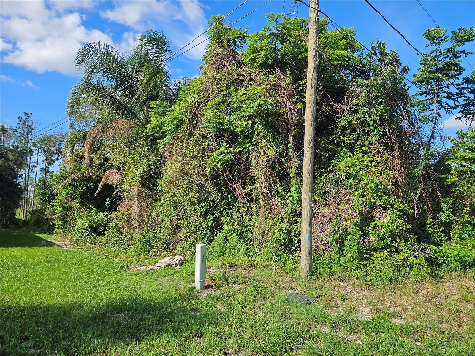 1879 Bonkirk Drive, FL