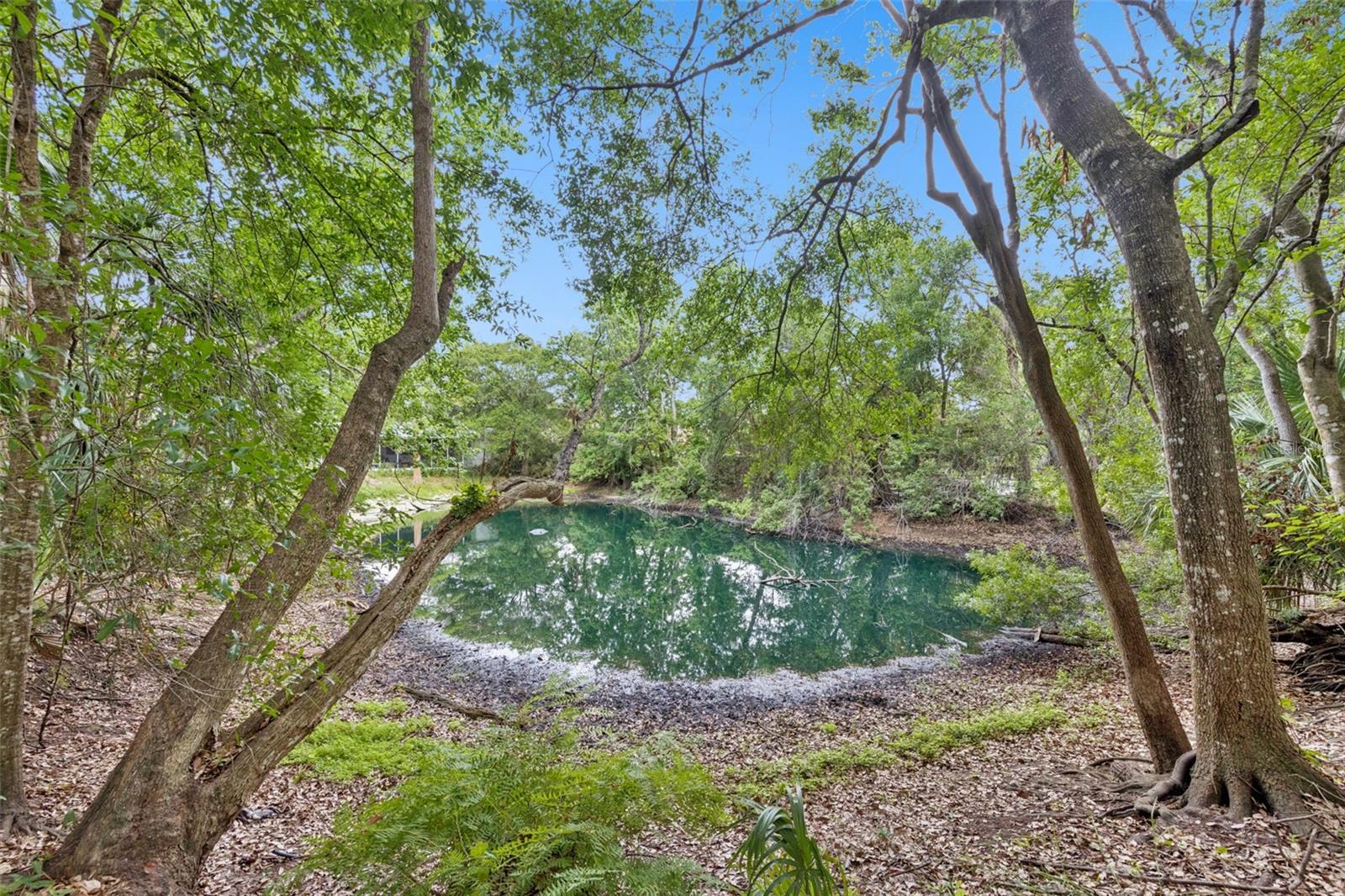 1318 Coletta Drive, FL