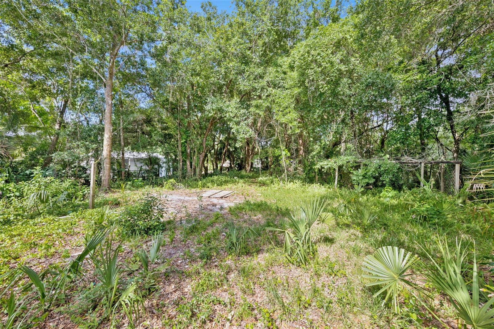 1318 Coletta Drive, FL