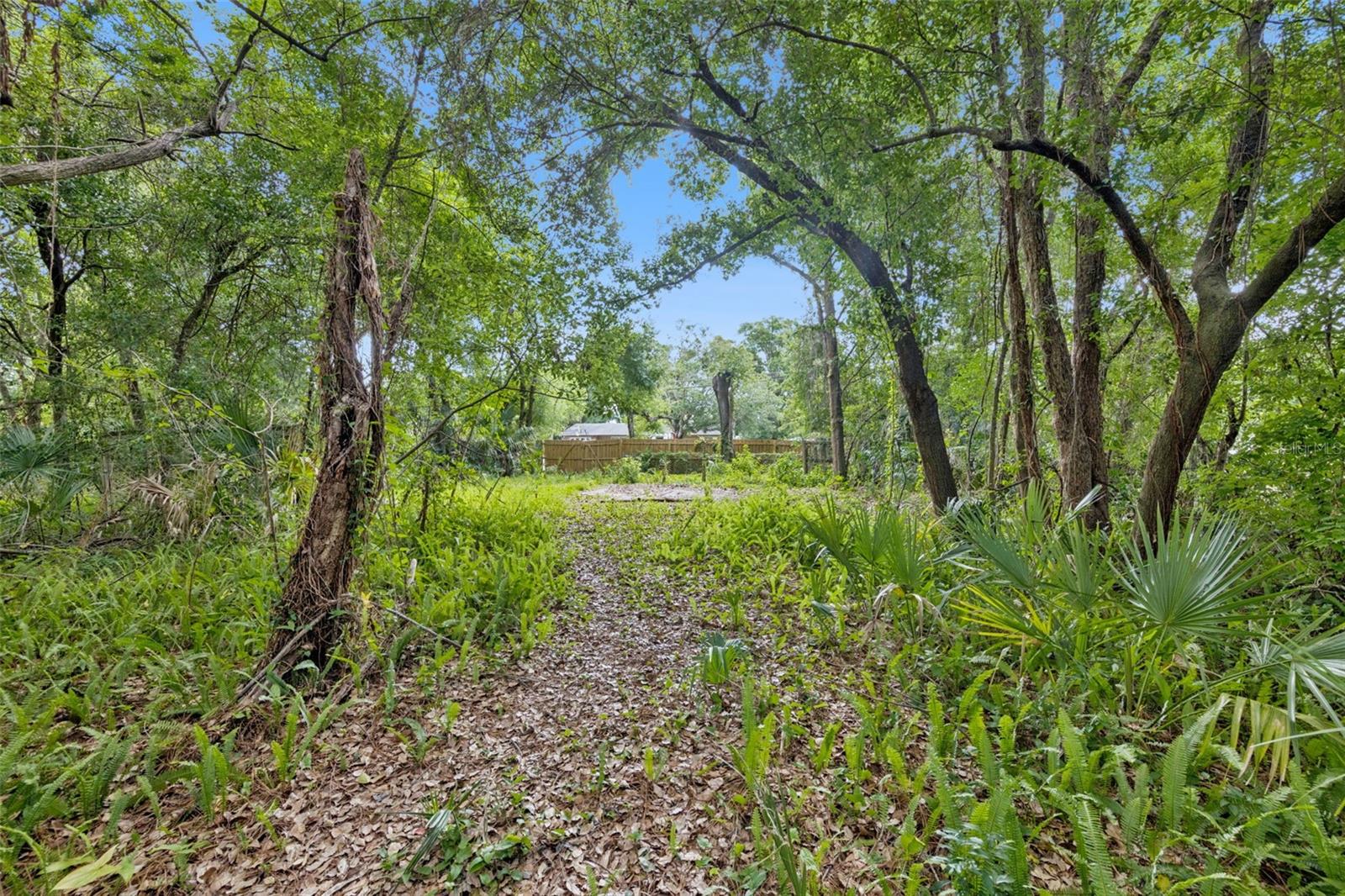 1318 Coletta Drive, FL
