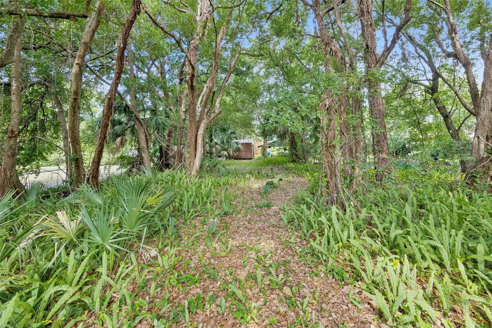 1318 Coletta Drive, FL