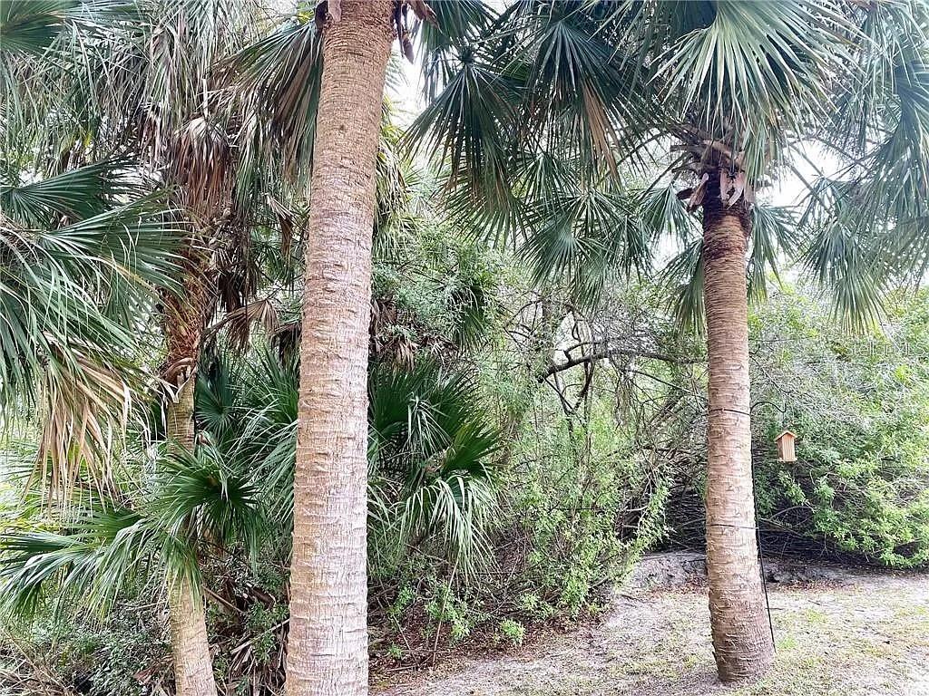 Arley Road, FL