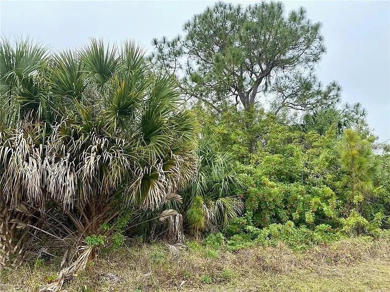 Arley Road, FL