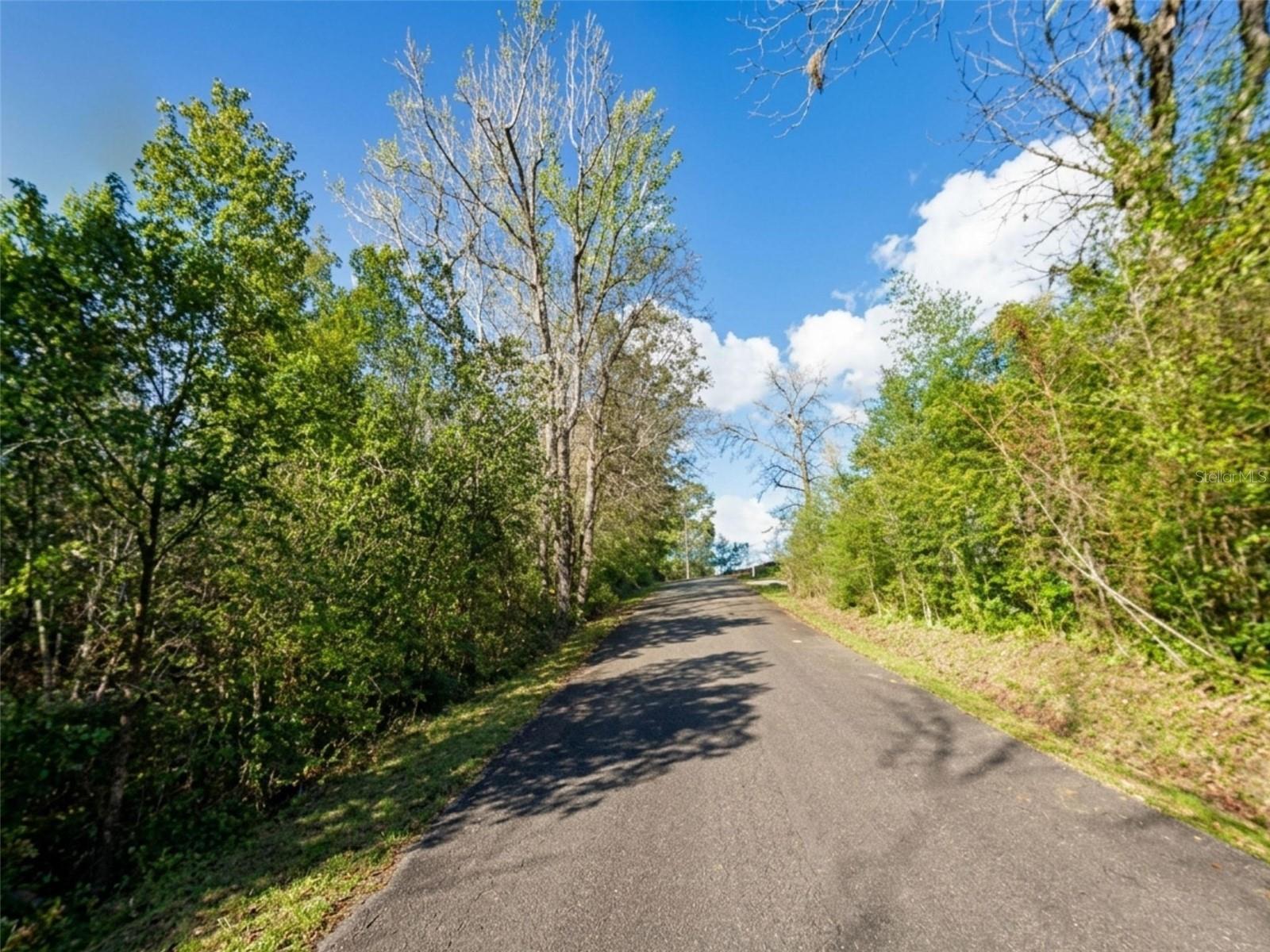 Satsuma Rd, FL