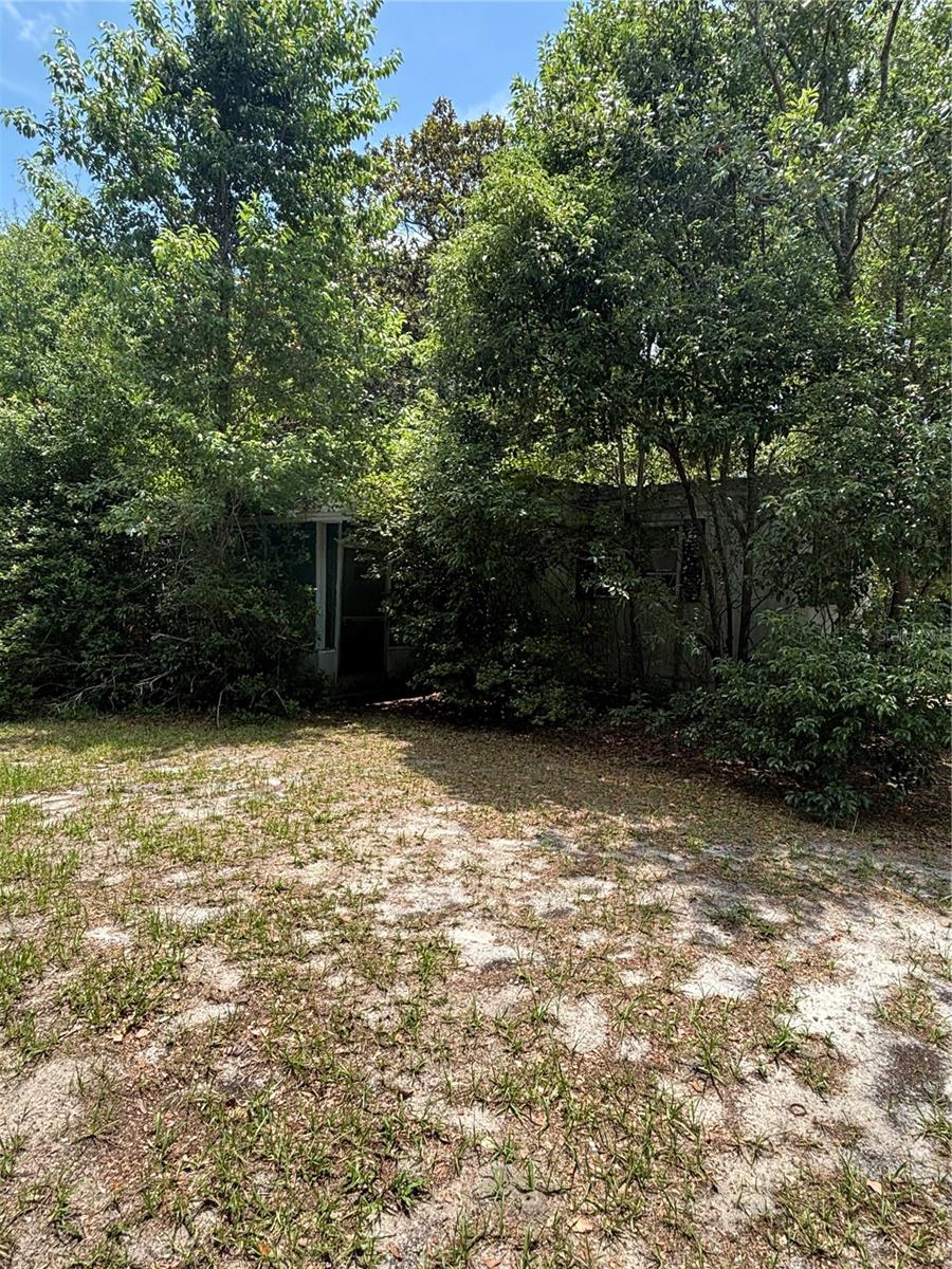 20304 Blue Wing Road, FL