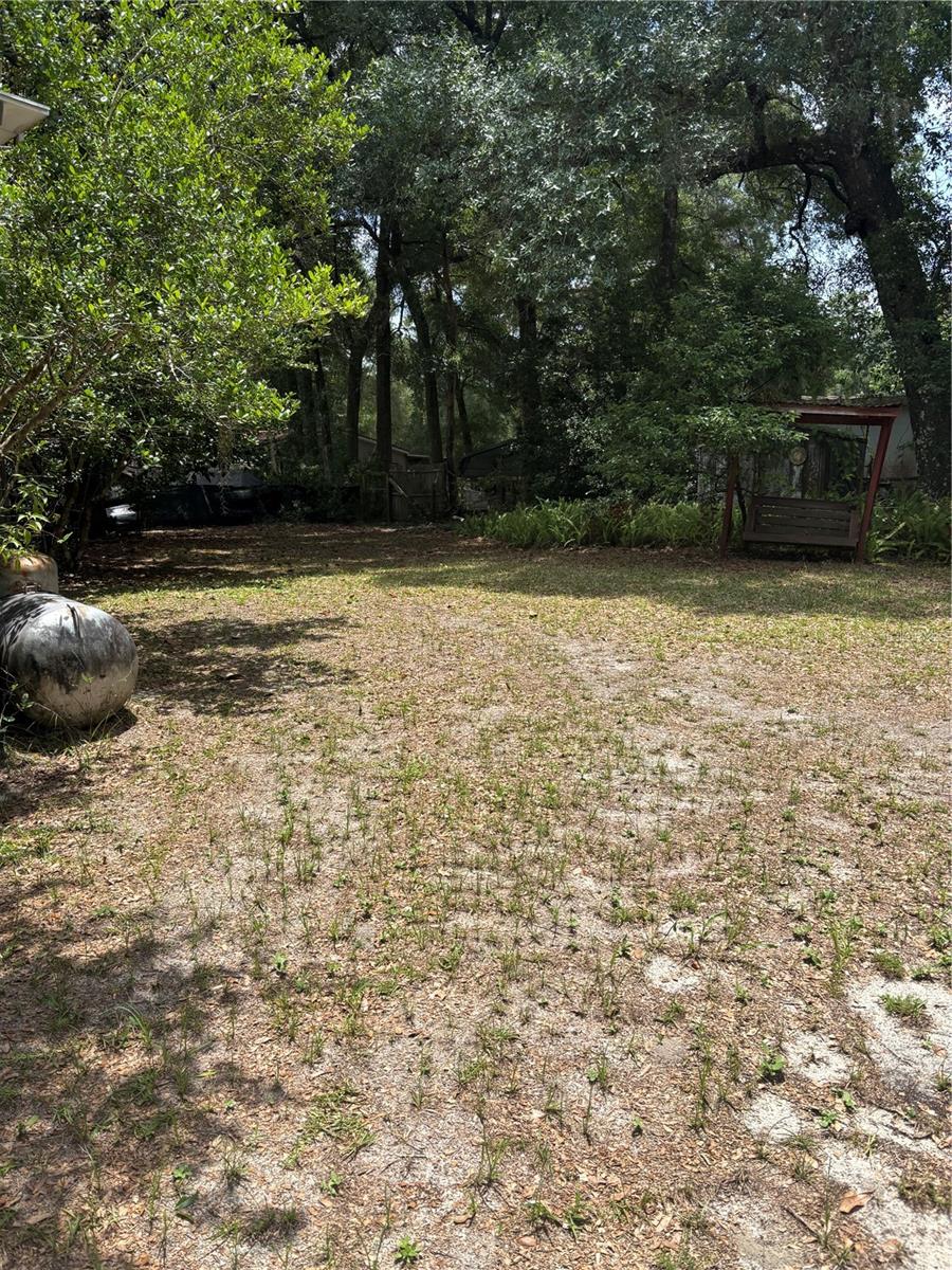 20304 Blue Wing Road, FL
