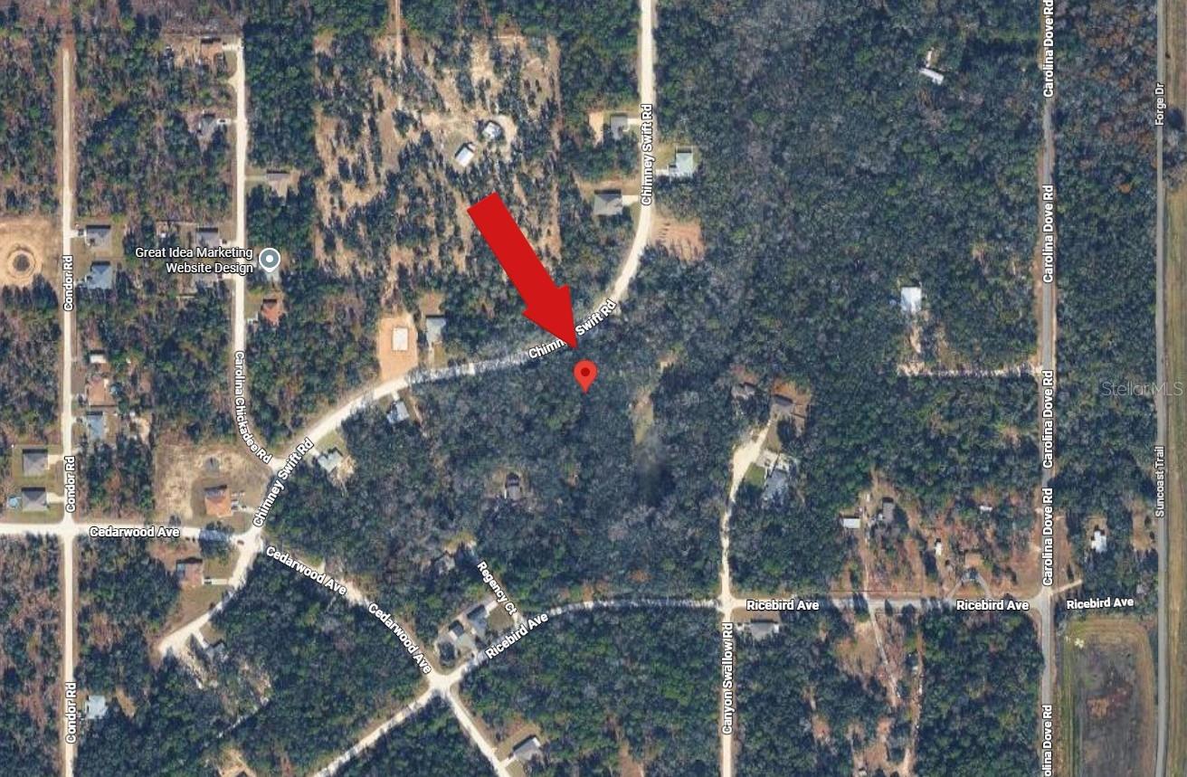 14398 Chimney Swift Road, FL
