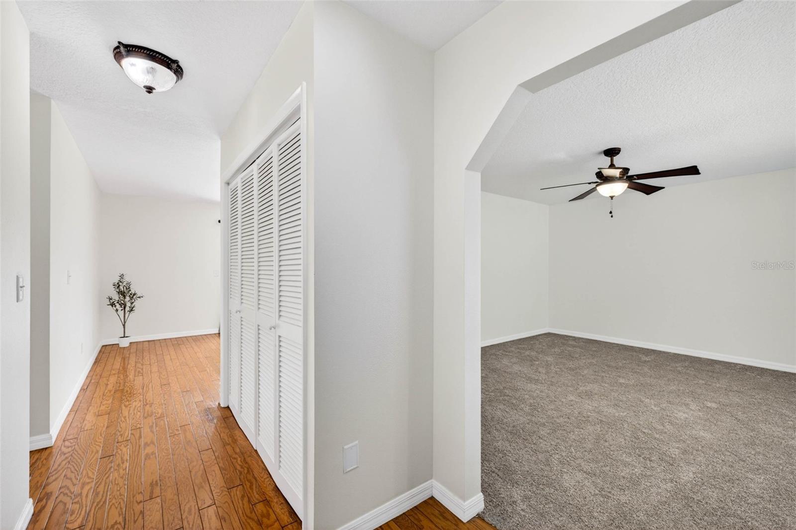 37121 Meridian Avenue, FL