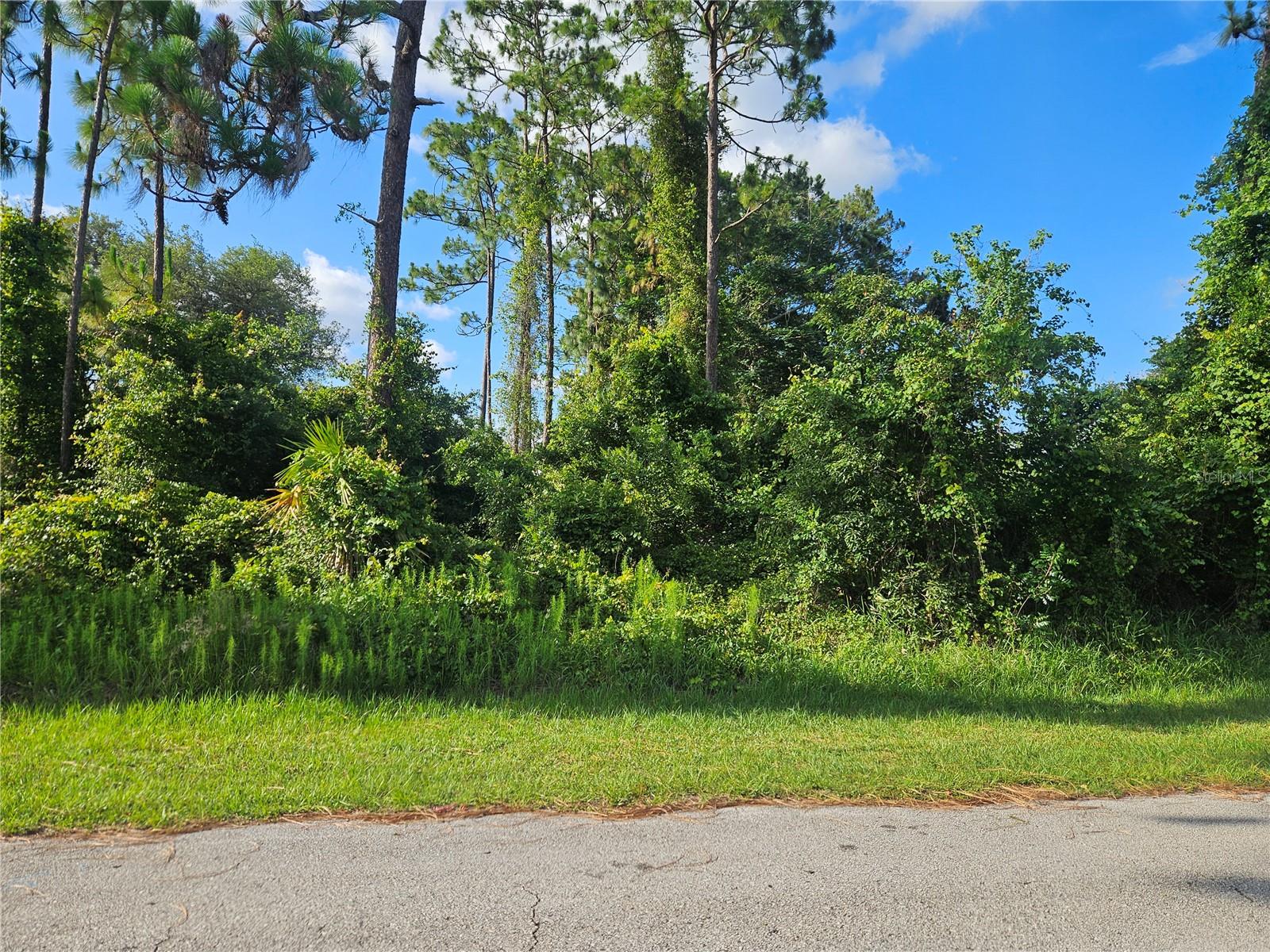 2318 Whitehorse Street, FL