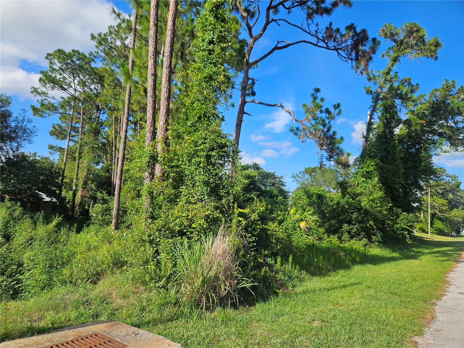 2318 Whitehorse Street, FL