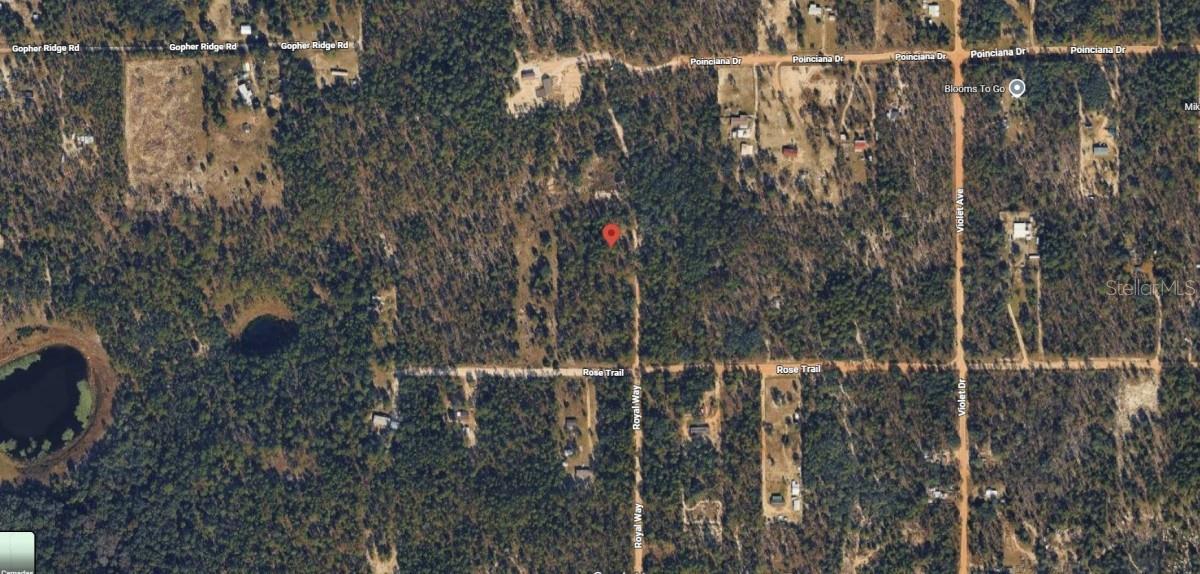 Royal Way, FL