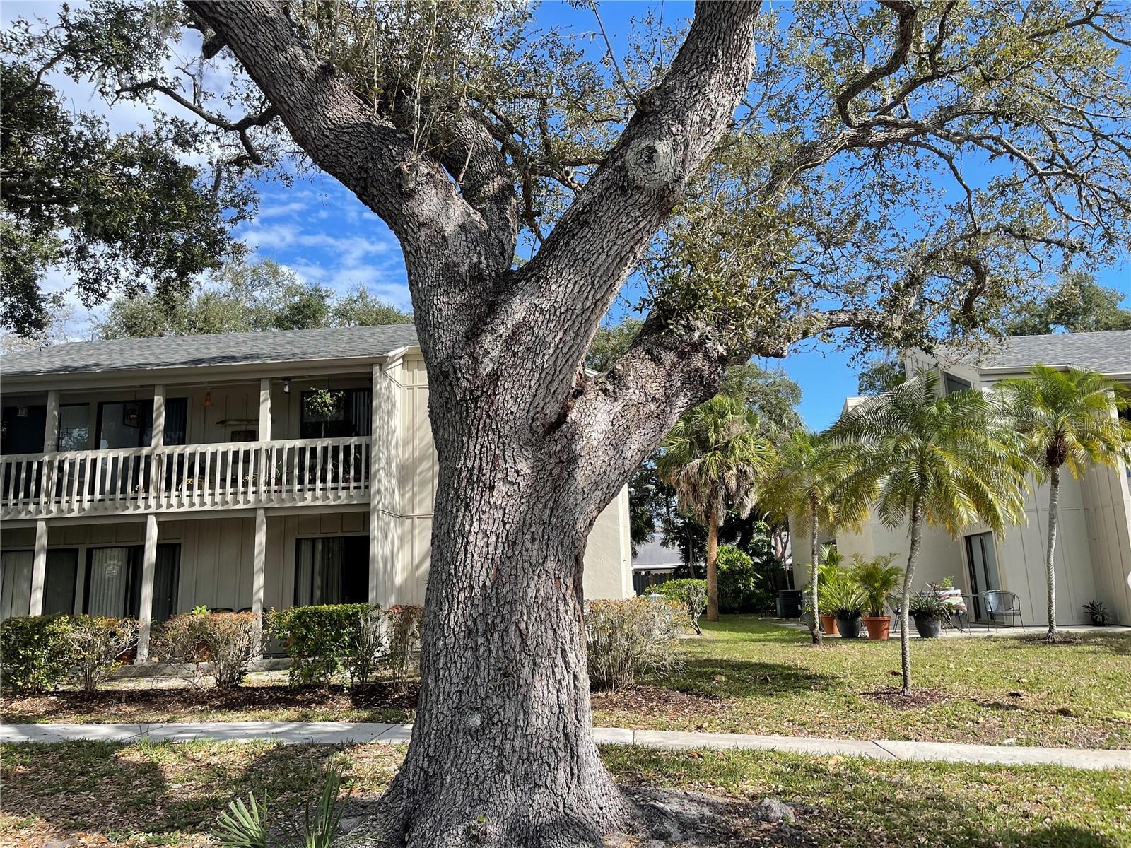 2224 Bahia Vista Street, FL