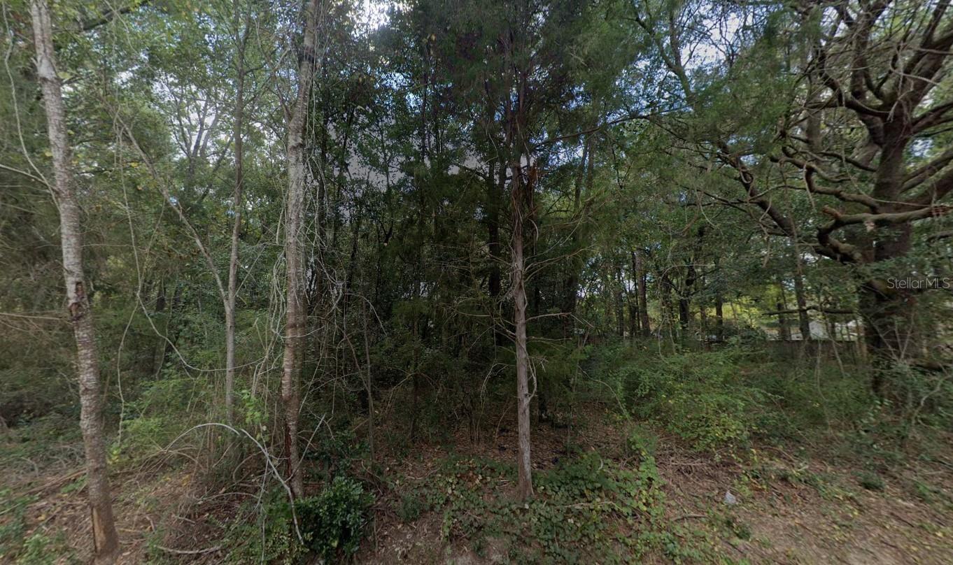 6195 Kirby Street, FL