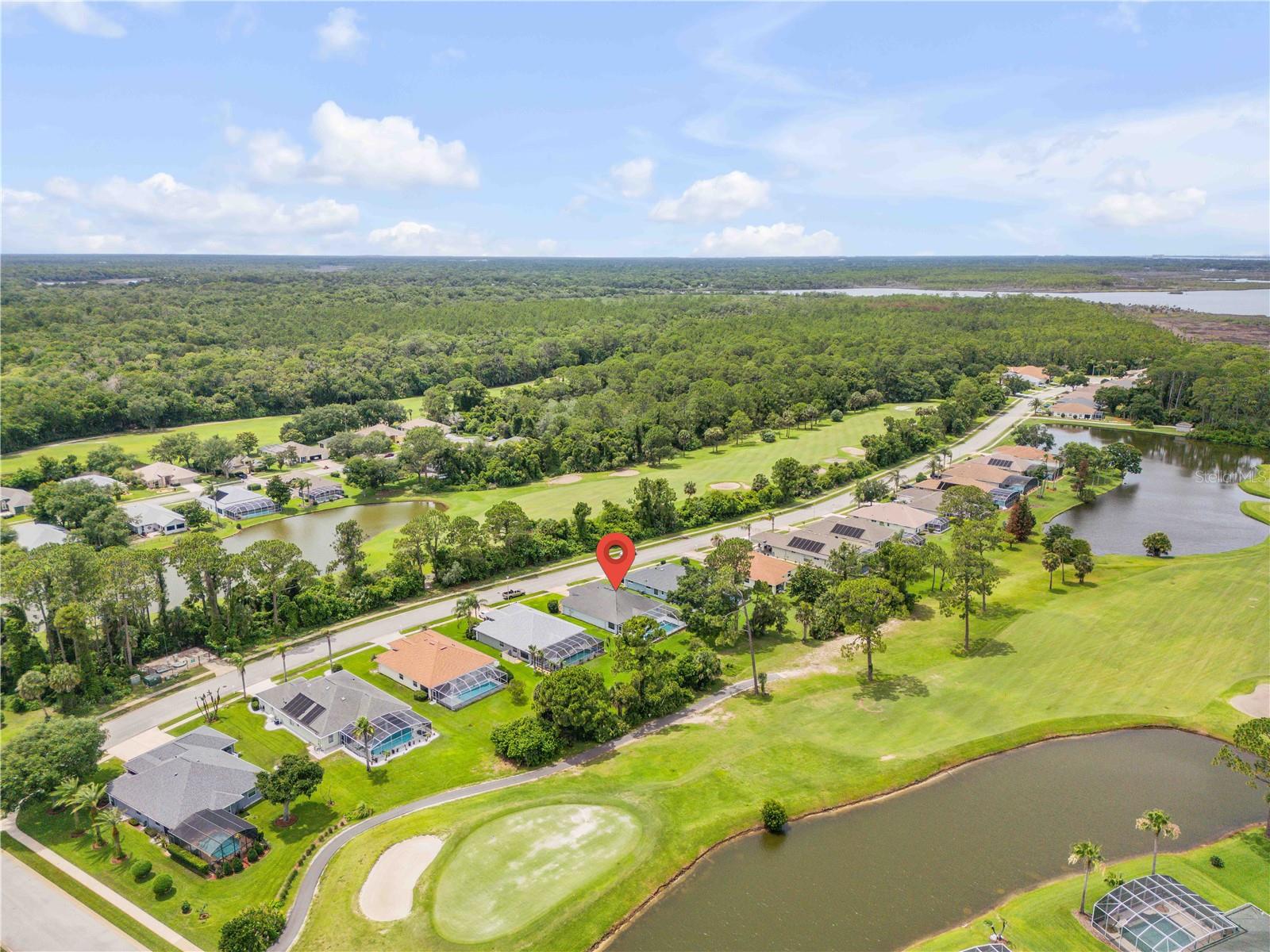 2809 Turnbull Estates Drive, FL