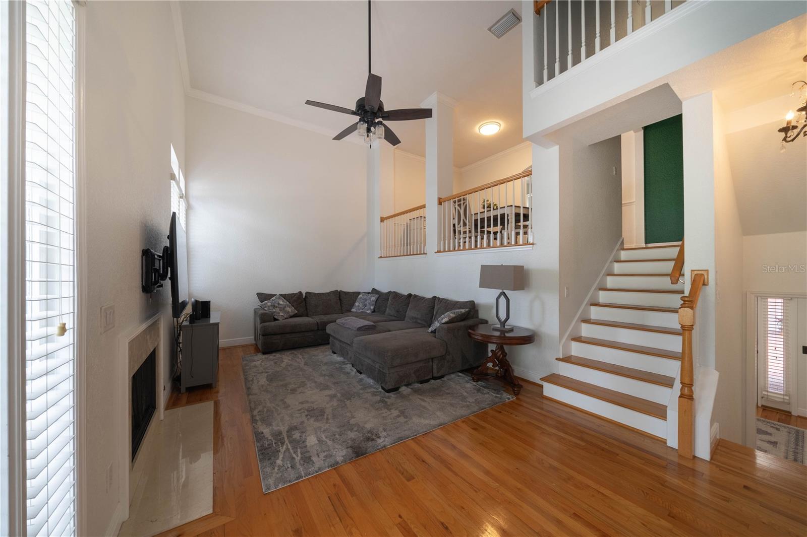 3315 De Leon Street, FL