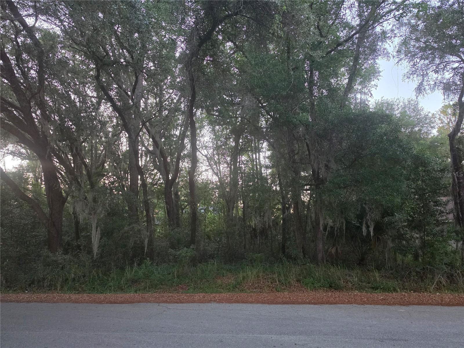Pine Circle, FL
