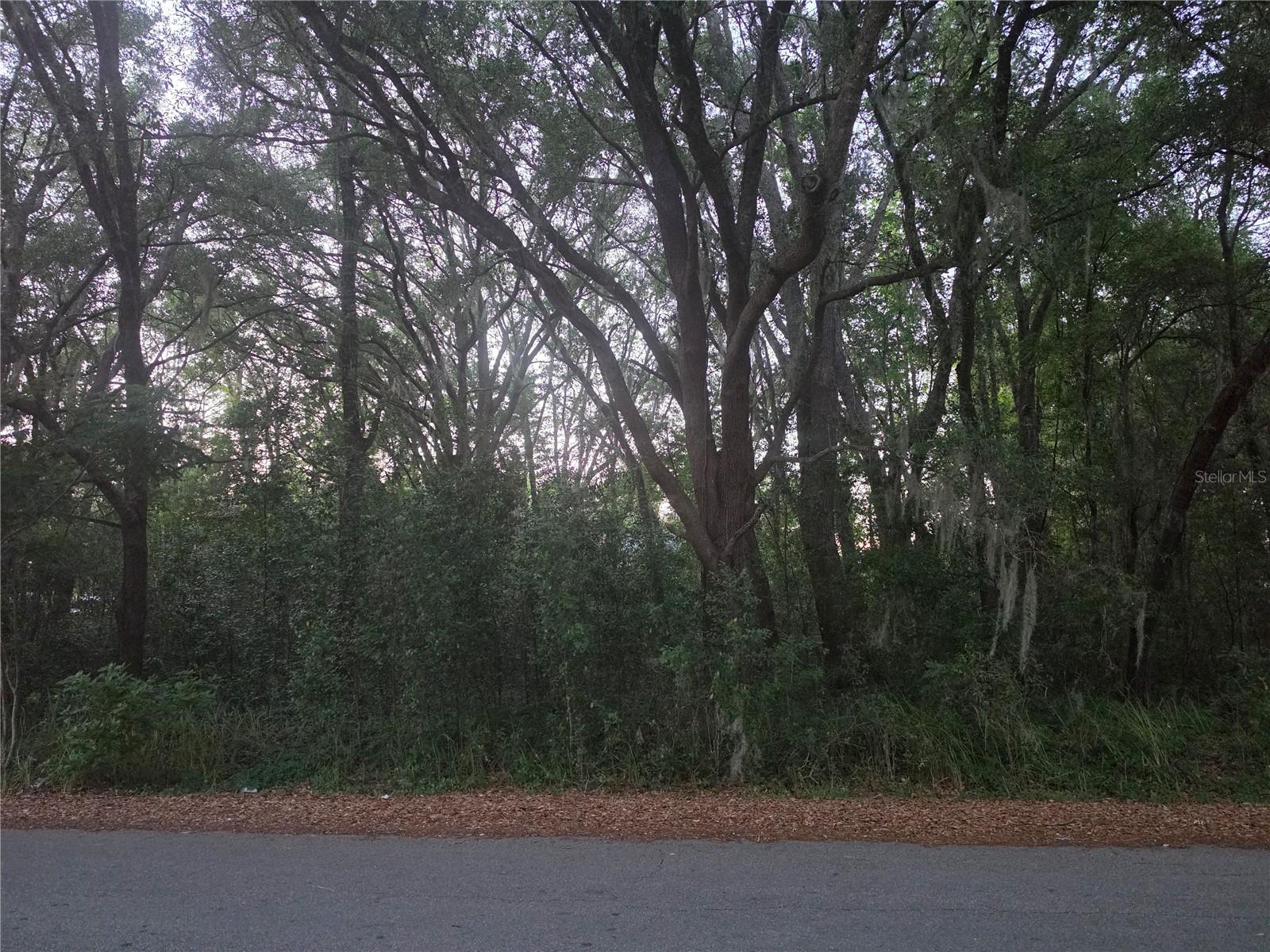 Pine Circle, FL