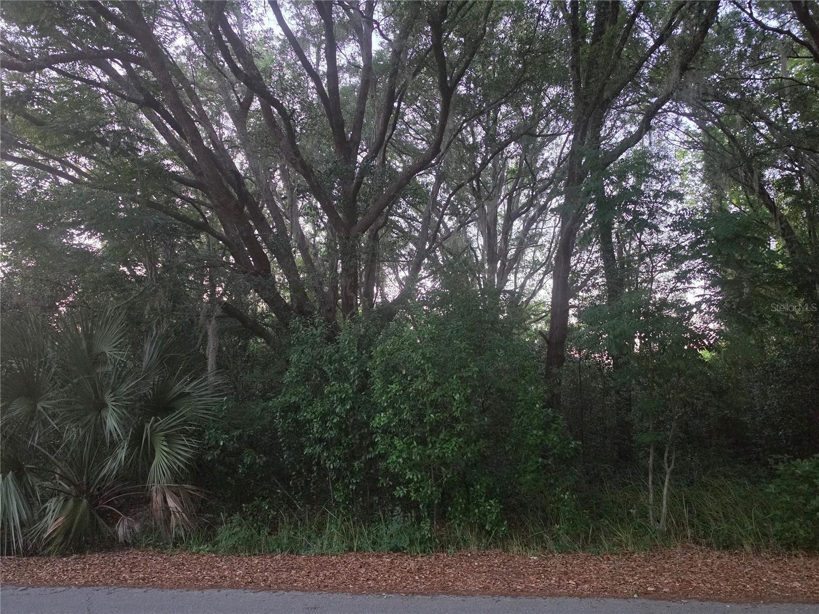 Pine Circle, FL