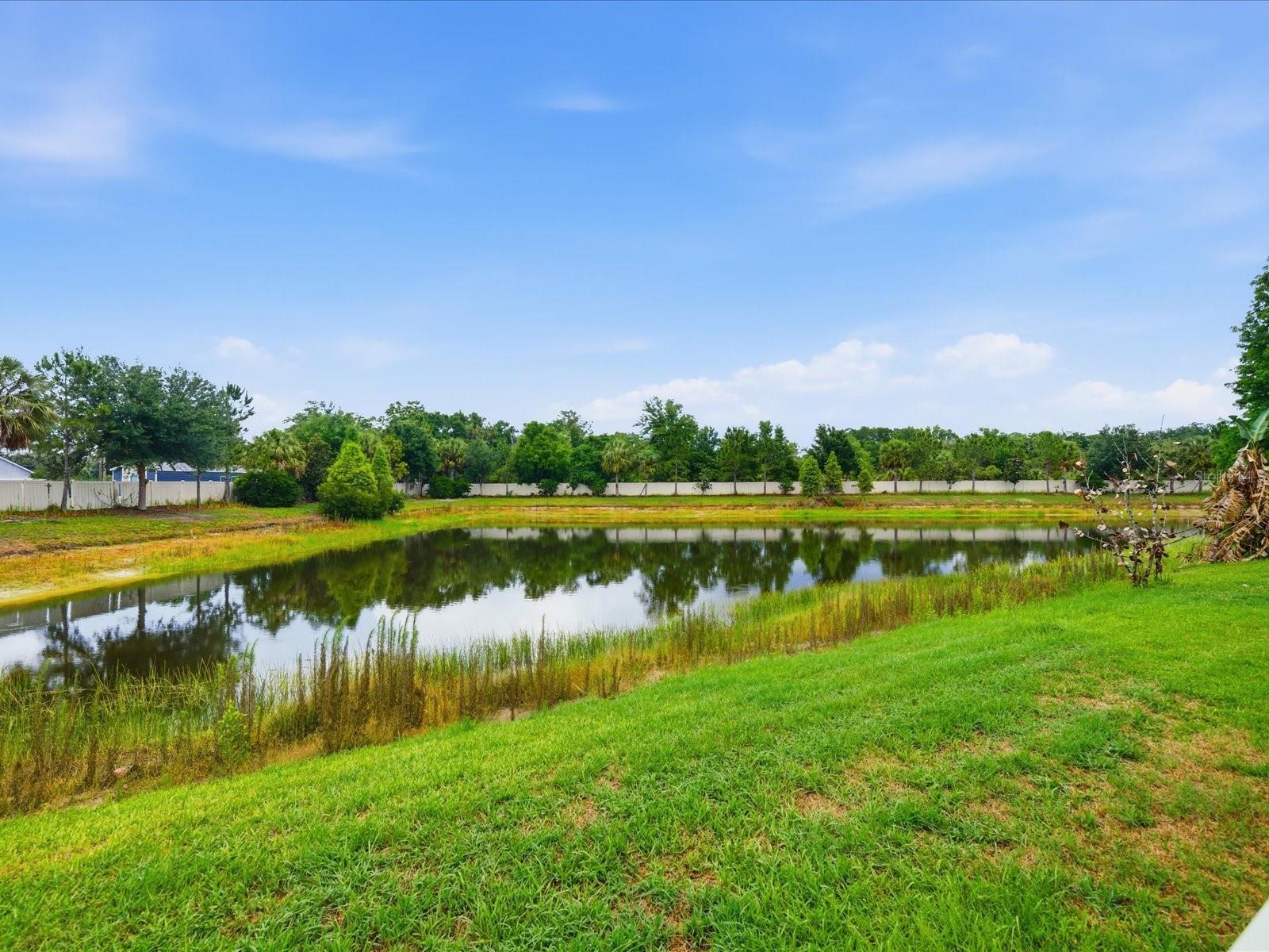 17735 Bright Wheat Drive, FL