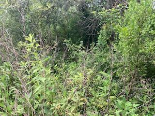 Sweetwater Trail, FL