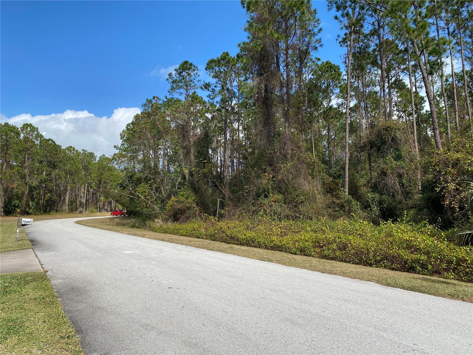 31004 Secretariat Trail, FL