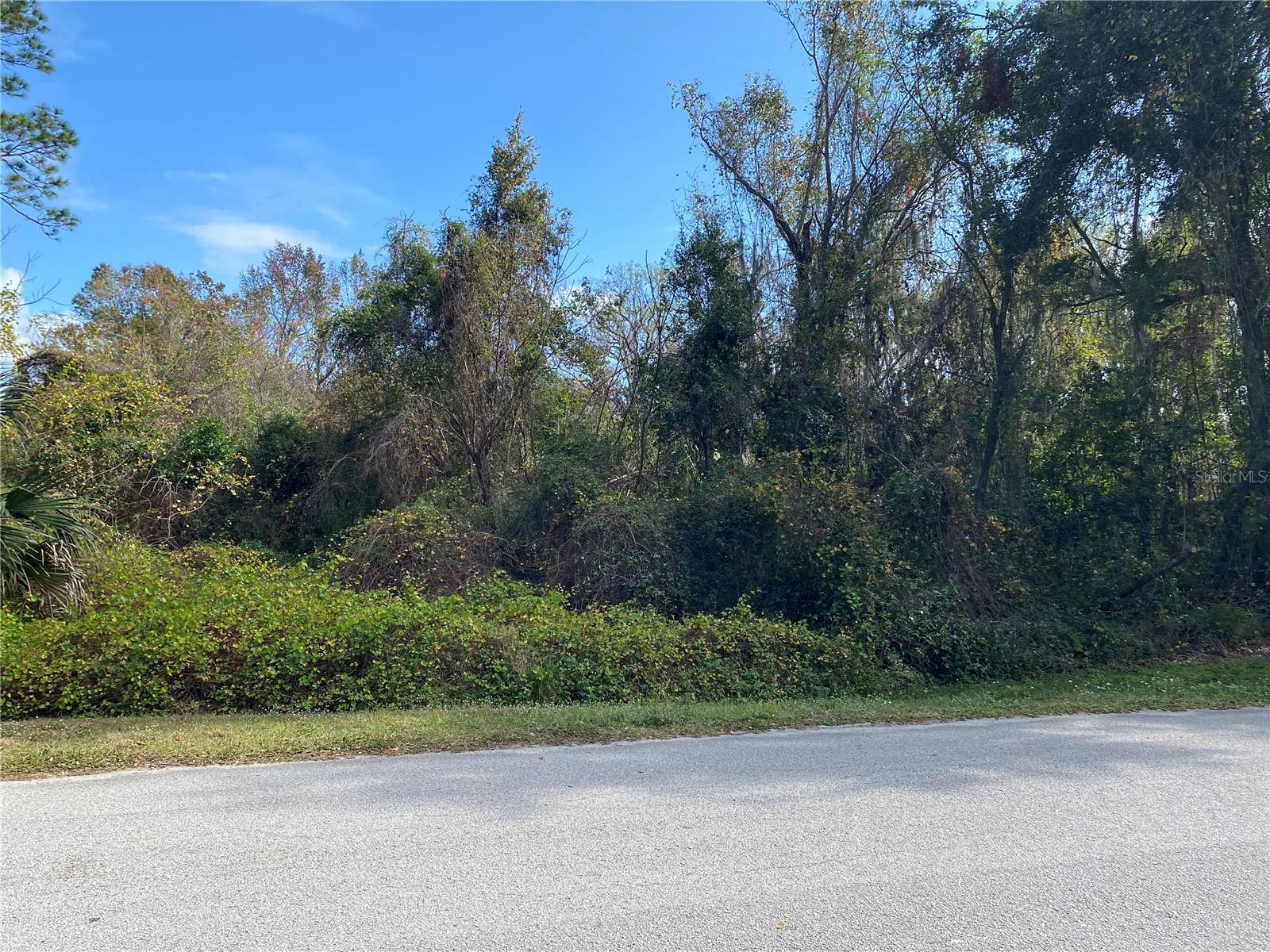 31004 Secretariat Trail, FL