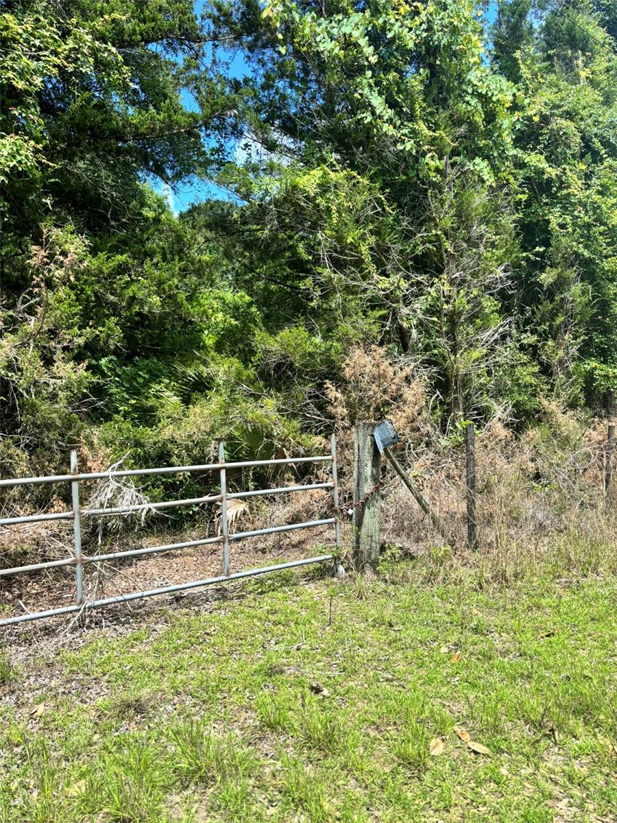 11916 80th Court, FL