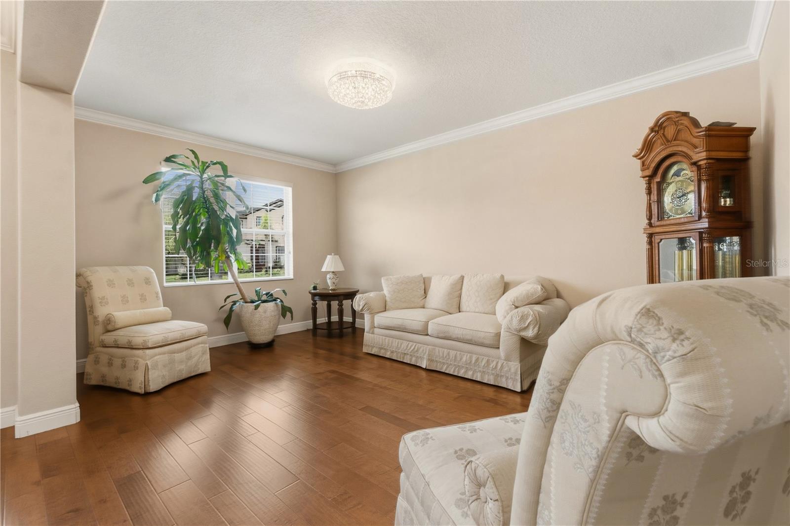 14378 Black Lake Preserve Street, FL